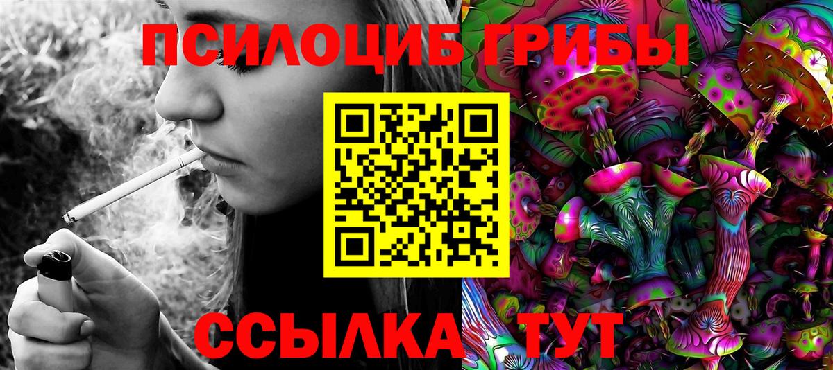 Ржев  Галлюциногенные грибы Cubensis  Вход с VPN 