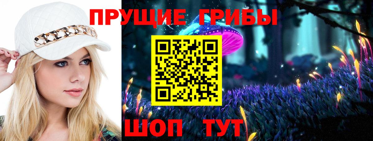 Галлюциногенные грибы GOLDEN TEACHER Ржев