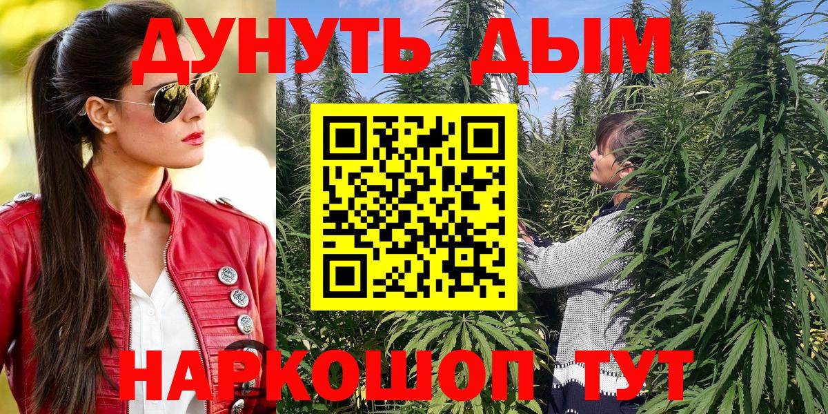 МАРИХУАНА конопля  Бошки марихуана план  Вход с VPN  Ржев 